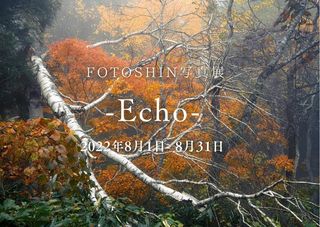 2022年8月 FOTOSHIN 写真展  – Echo –  開催のお知らせ
